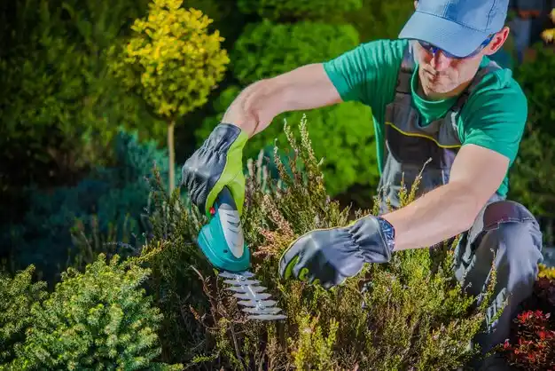 landscaping services Roscommon